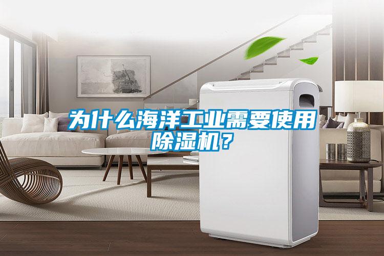 為什么海洋工業需要使用除濕機？