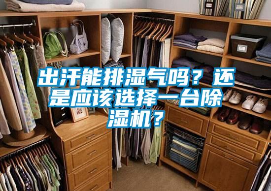 出汗能排濕氣嗎？還是應該選擇一臺除濕機？