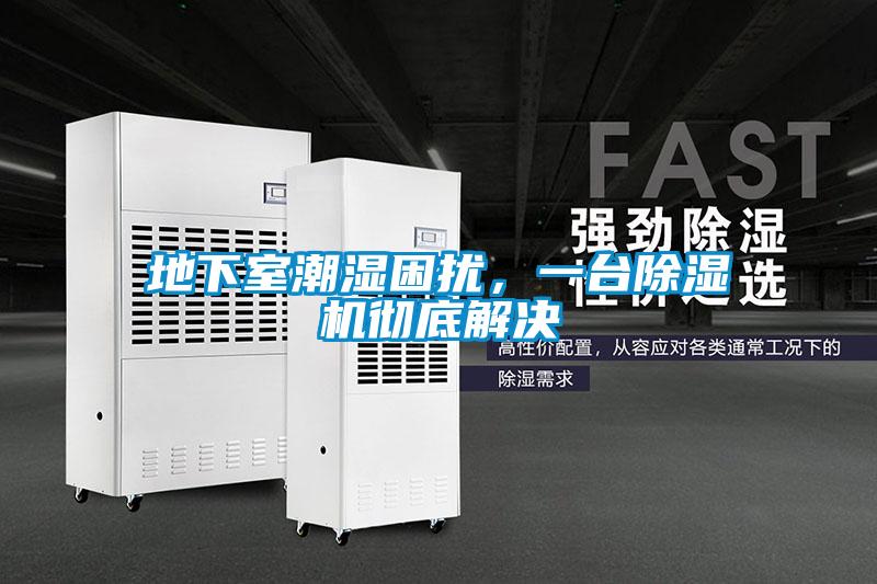 地下室潮濕困擾，一臺除濕機徹底解決