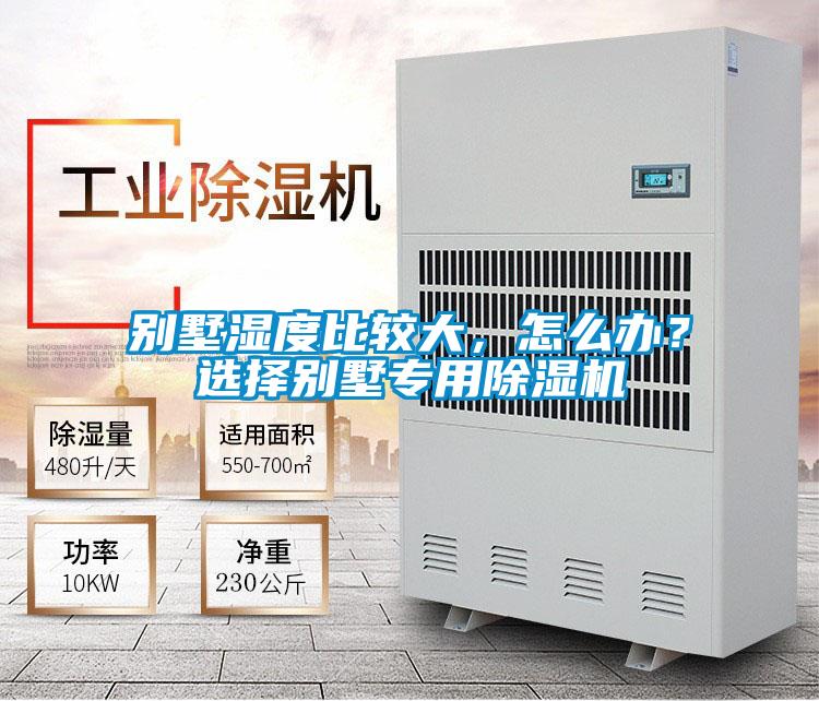 別墅濕度比較大，怎么辦？選擇別墅專用除濕機