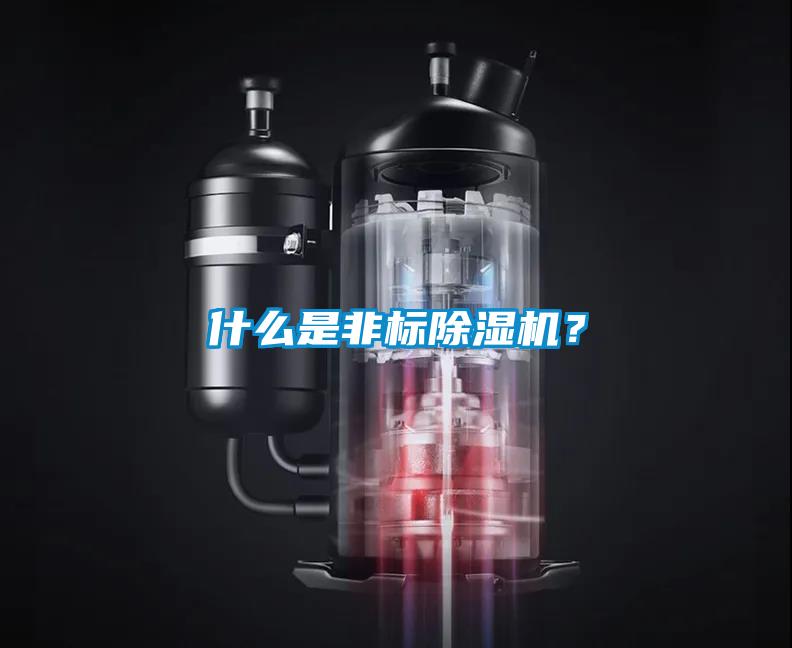 什么是非標除濕機？