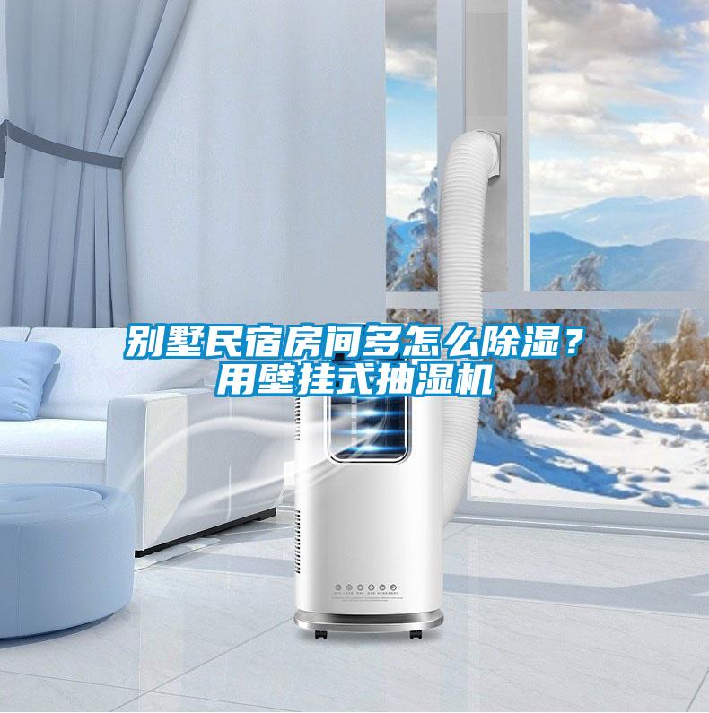 別墅民宿房間多怎么除濕？用壁掛式抽濕機