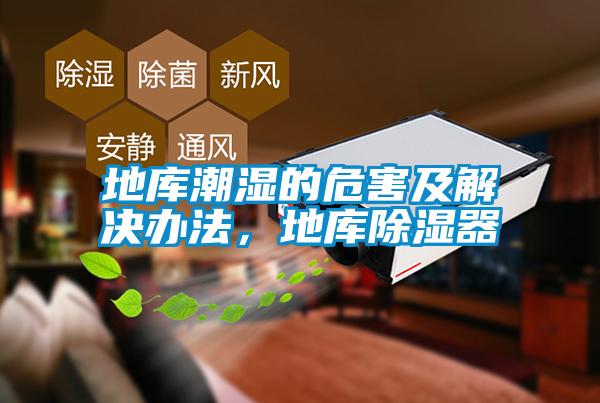 地庫潮濕的危害及解決辦法，地庫除濕器