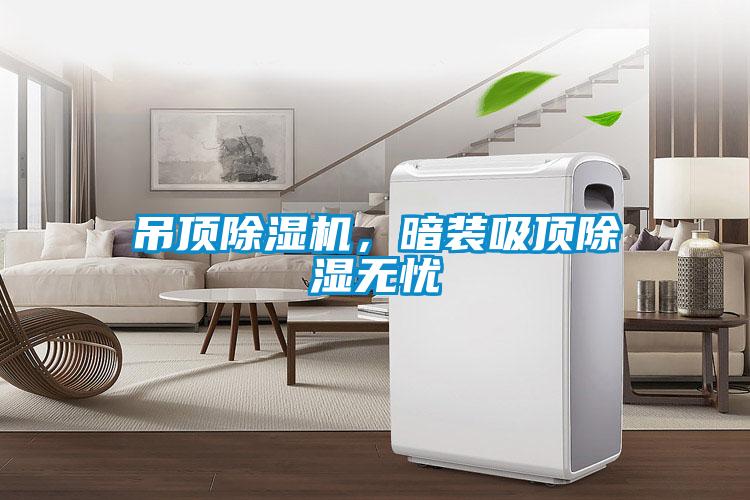 吊頂除濕機，暗裝吸頂除濕無憂