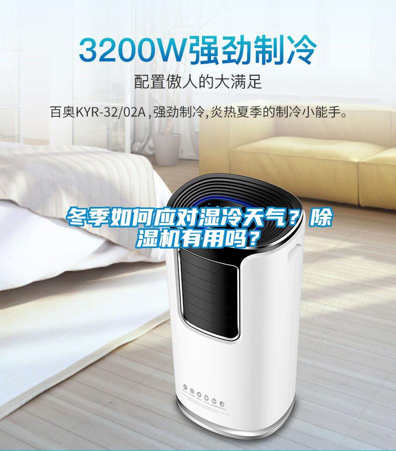 冬季如何應對濕冷天氣？除濕機有用嗎？