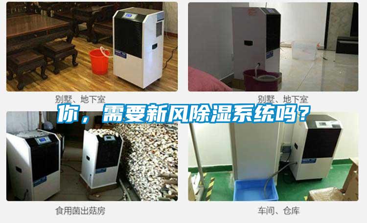 你，需要新風除濕系統嗎？