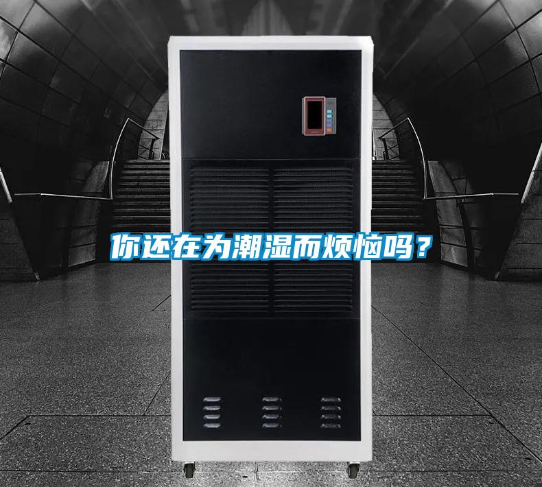 你還在為潮濕而煩惱嗎？