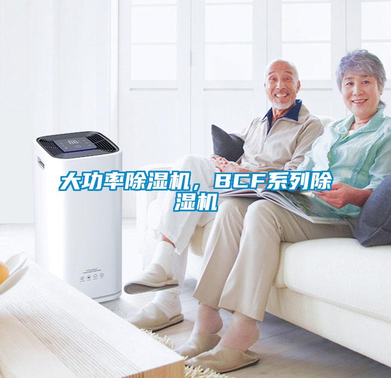 大功率除濕機，BCF系列除濕機