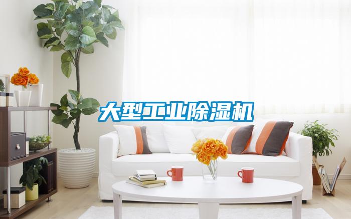 大型工業除濕機