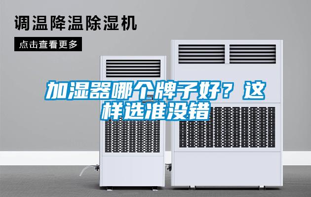 加濕器哪個牌子好？這樣選準沒錯