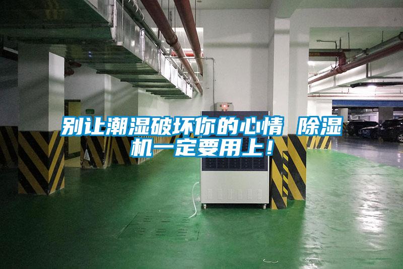 別讓潮濕破壞你的心情 除濕機一定要用上！