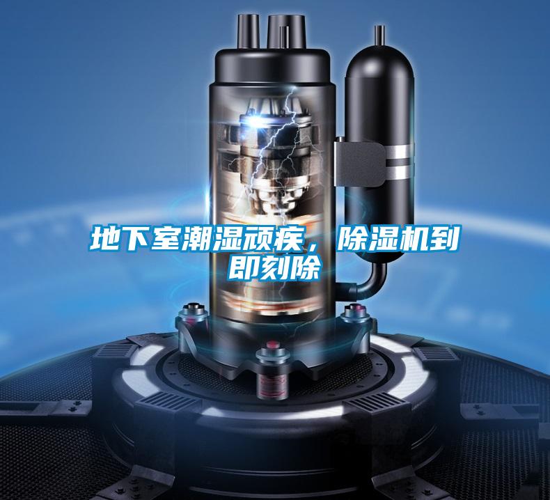 地下室潮濕頑疾，除濕機到即刻除