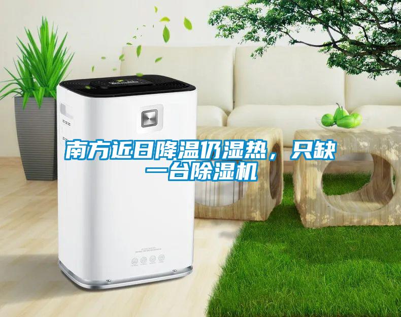 南方近日降溫仍濕熱，只缺一臺除濕機
