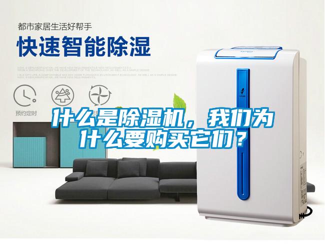 什么是除濕機，我們為什么要購買它們？