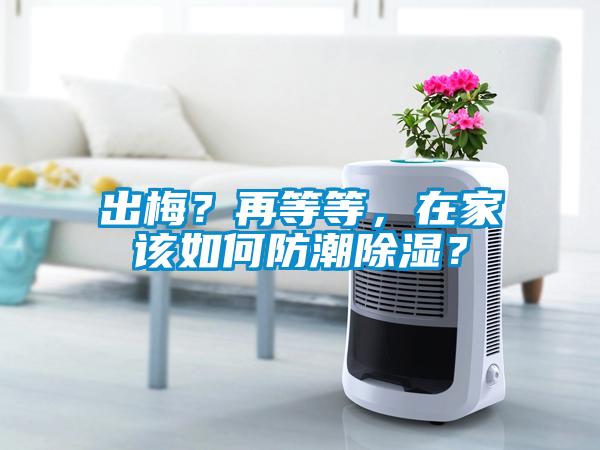 出梅？再等等，在家該如何防潮除濕？