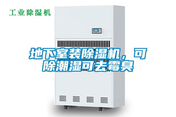 地下室裝除濕機，可除潮濕可去霉臭