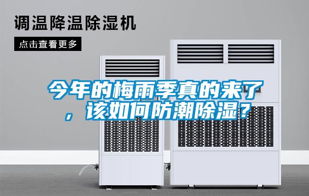 今年的梅雨季真的來了，該如何防潮除濕？