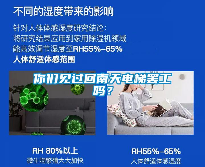 你們見過回南天電梯罷工嗎？