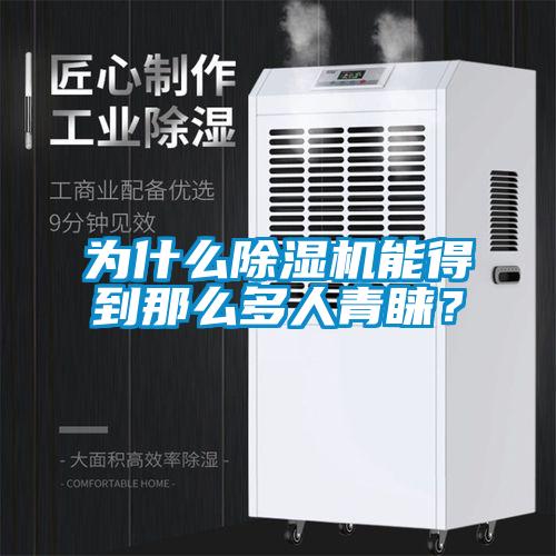 為什么除濕機能得到那么多人青睞？