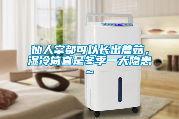 仙人掌都可以長出蘑菇，濕冷簡直是冬季一大隱患~