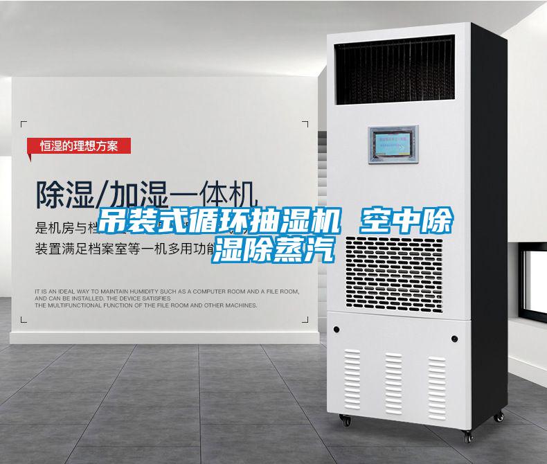 吊裝式循環抽濕機 空中除濕除蒸汽