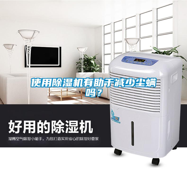 使用除濕機有助于減少塵螨嗎？