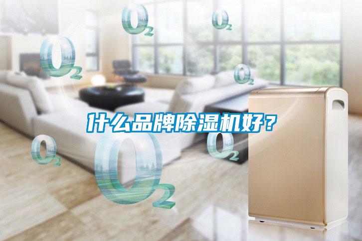 什么品牌除濕機好？