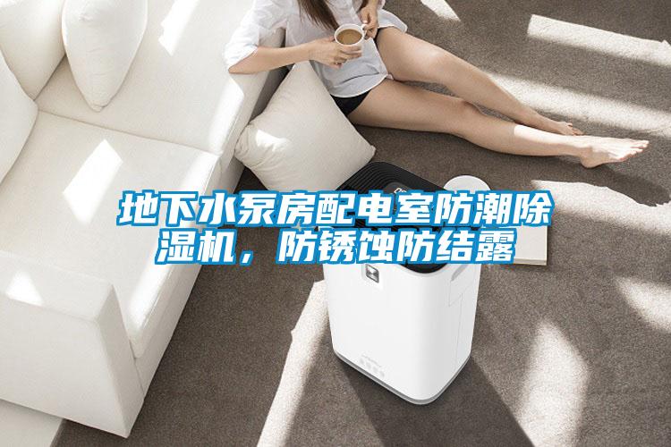 地下水泵房配電室防潮除濕機，防銹蝕防結露