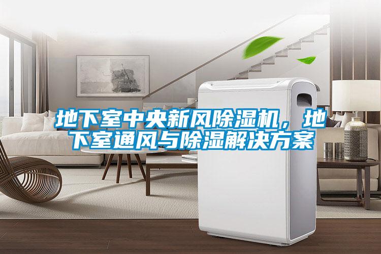 地下室中央新風除濕機，地下室通風與除濕解決方案