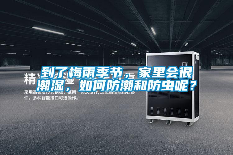 到了梅雨季節，家里會很潮濕，如何防潮和防蟲呢？
