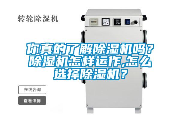 你真的了解除濕機嗎？除濕機怎樣運作,怎么選擇除濕機？