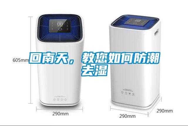 回南天，教您如何防潮去濕