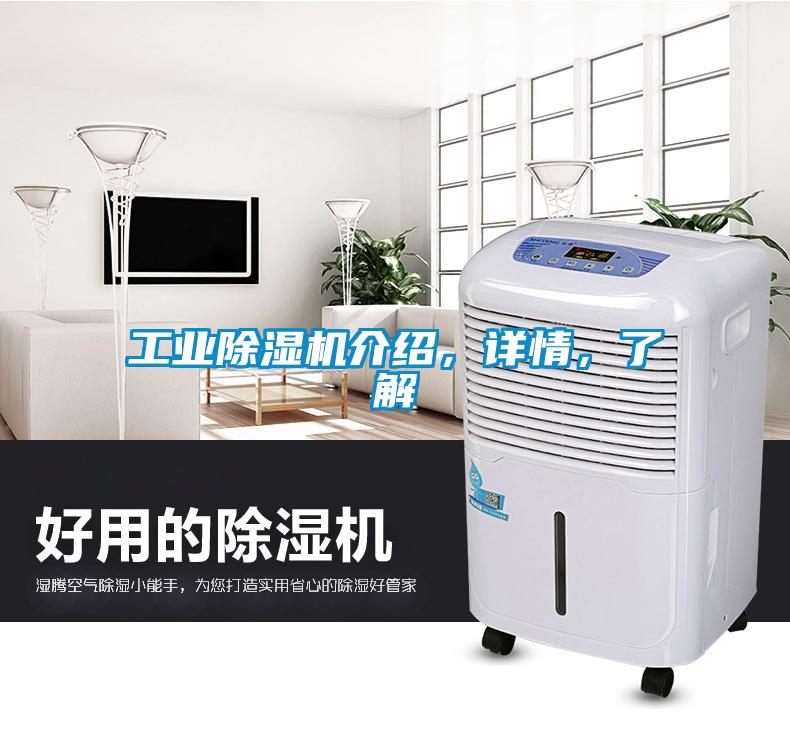 工業除濕機介紹，詳情，了解