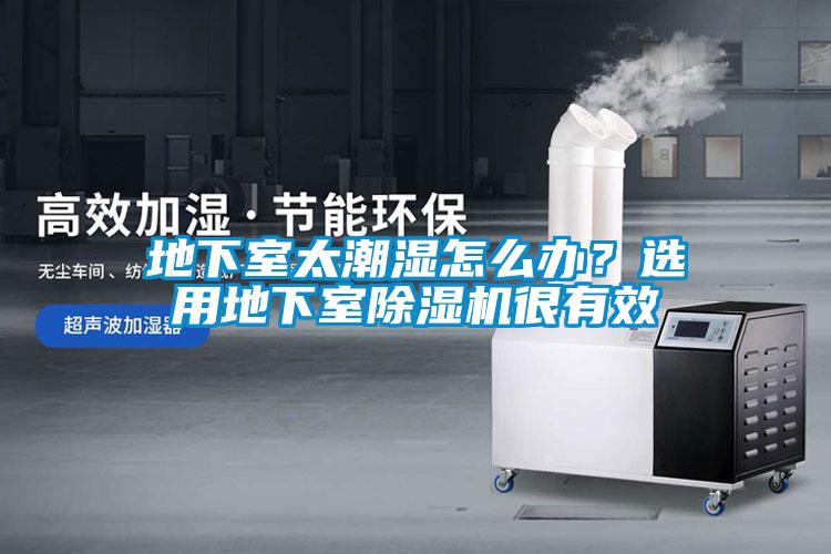 地下室太潮濕怎么辦？選用地下室除濕機很有效