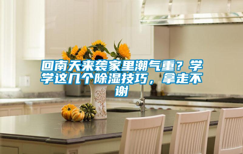 回南天來襲家里潮氣重？學學這幾個除濕技巧，拿走不謝