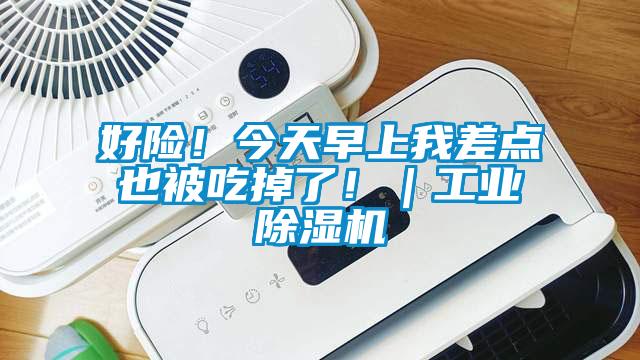 好險！今天早上我差點也被吃掉了?。I除濕機