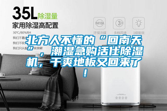 北方人不懂的“回南天”，潮濕急購活仕除濕機，干爽地板又回來了！
