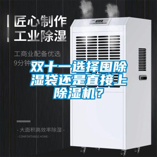 雙十一選擇囤除濕袋還是直接上除濕機？