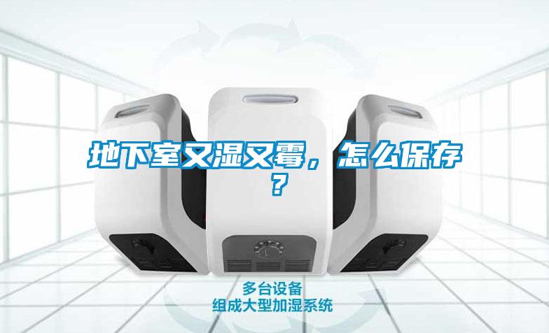 地下室又濕又霉，怎么保存？