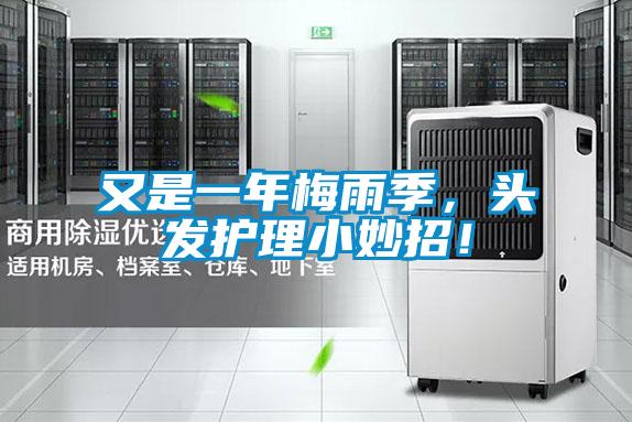 又是一年梅雨季，頭發護理小妙招！