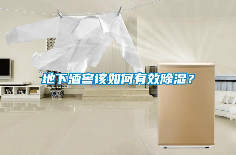 地下酒窖該如何有效除濕？