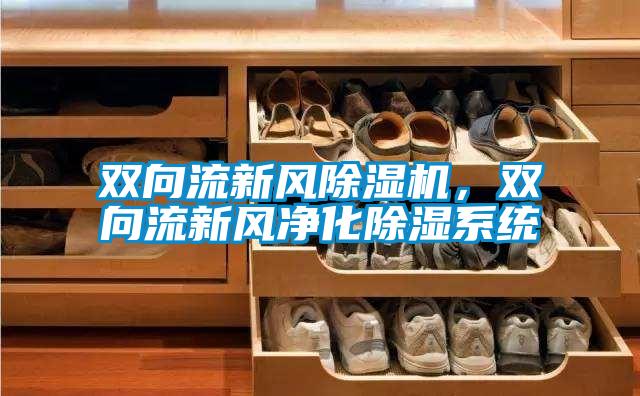 雙向流新風除濕機，雙向流新風凈化除濕系統