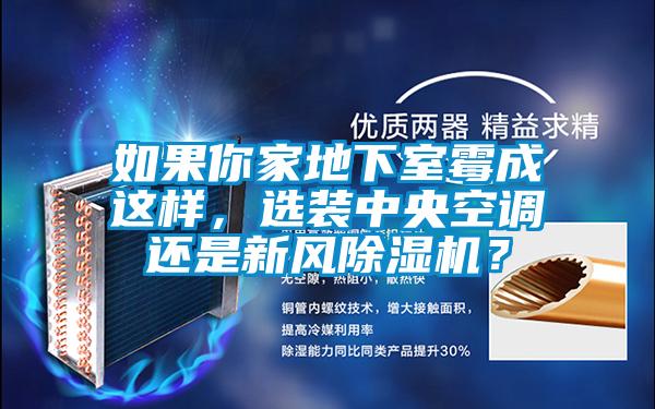 如果你家地下室霉成這樣，選裝中央空調還是新風除濕機？