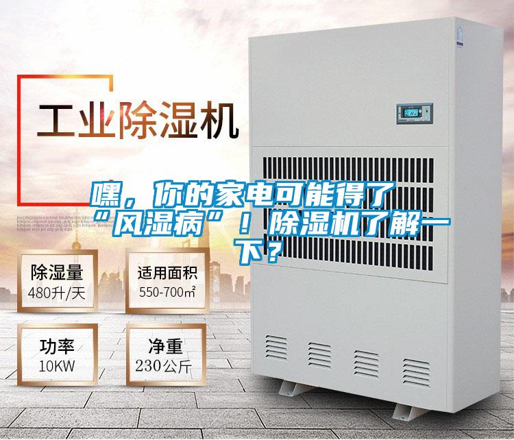 嘿，你的家電可能得了“風濕病”！除濕機了解一下？