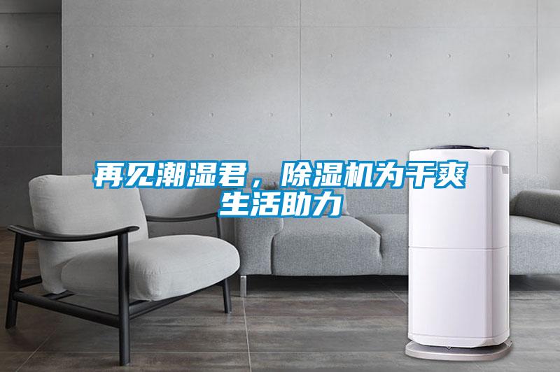 再見潮濕君，除濕機為干爽生活助力