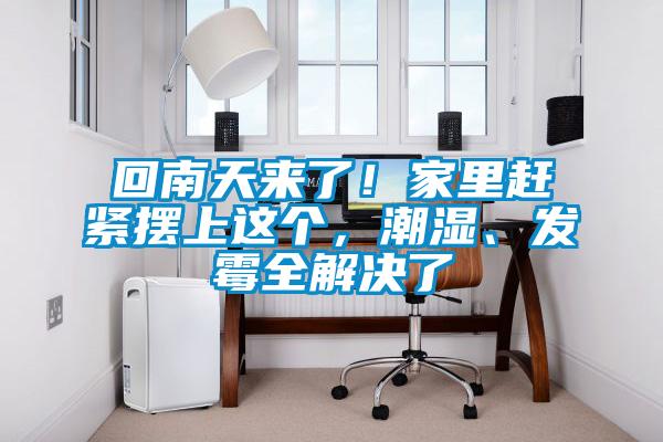 回南天來了！家里趕緊擺上這個，潮濕、發霉全解決了