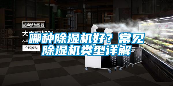 哪種除濕機好？常見除濕機類型詳解