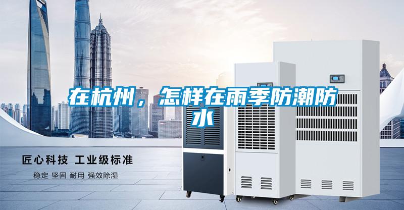 在杭州，怎樣在雨季防潮防水