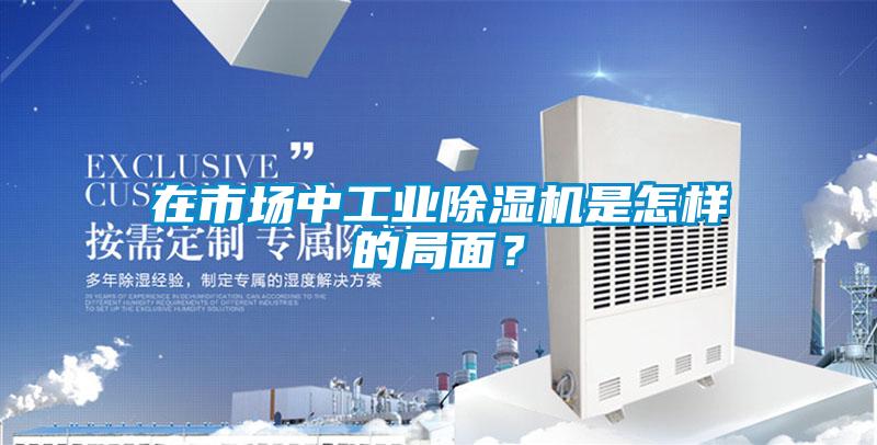 在市場中工業除濕機是怎樣的局面？