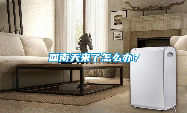 回南天來了怎么辦？